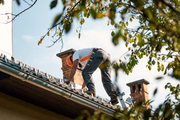 Best Roof Restoration Services  in Ellinwood, KS