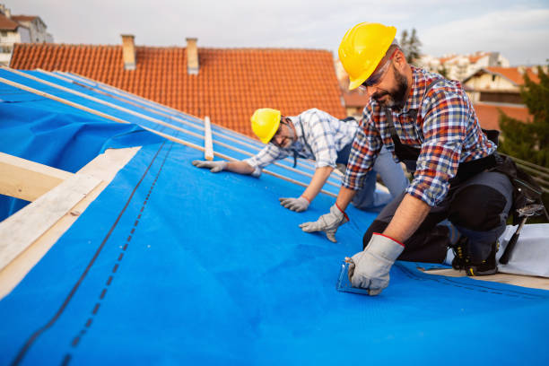 Best New Roof Installation  in Ellinwood, KS