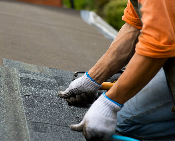 Best Roof Maintenance Services  in Ellinwood, KS