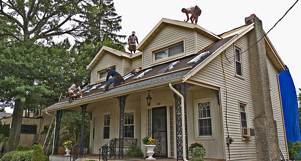 Best Flat Roof Repair Services  in Ellinwood, KS
