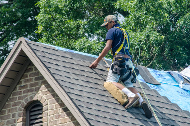 Best Roof Repair Services  in Ellinwood, KS